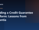 Building a Credit Guarantee Platform: Lessons from Garantia